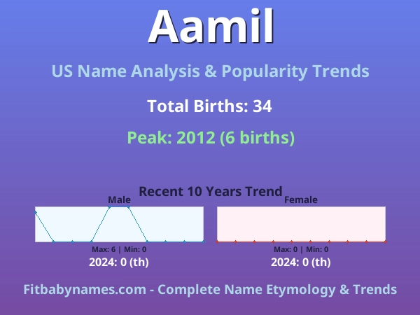 Infographic: Aamil name meaning, origin, and popularity trends in the United States (US baby name analysis chart)