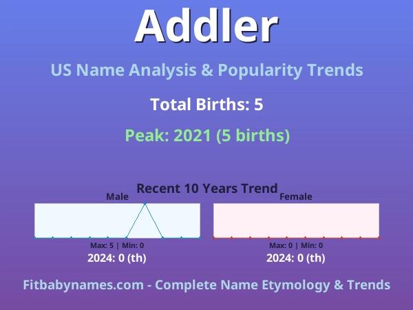 Infographic: Addler name meaning, origin, and popularity trends in the United States (US baby name analysis chart)