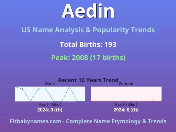 Infographic: Aedin name meaning, origin, and popularity trends in the United States (US baby name analysis chart)