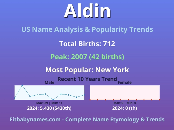 Infographic: Aldin name meaning, origin, and popularity trends in the United States (US baby name analysis chart)