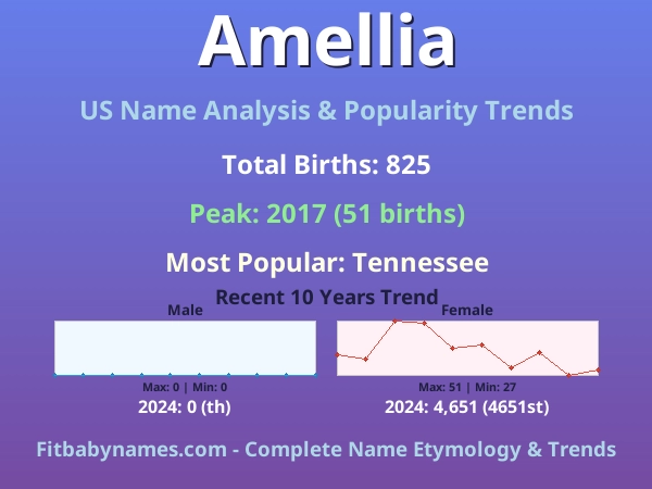 Infographic: Amellia name meaning, origin, and popularity trends in the United States (US baby name analysis chart)