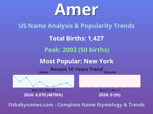 Infographic: Amer name meaning, origin, and popularity trends in the United States (US baby name analysis chart)