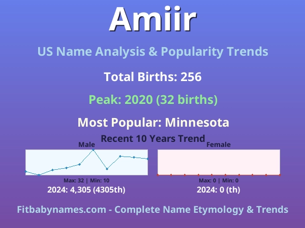 Infographic: Amiir name meaning, origin, and popularity trends in the United States (US baby name analysis chart)
