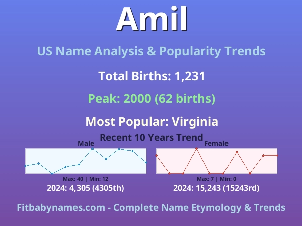 Infographic: Amil name meaning, origin, and popularity trends in the United States (US baby name analysis chart)