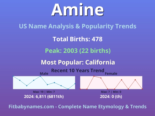 Infographic: Amine name meaning, origin, and popularity trends in the United States (US baby name analysis chart)