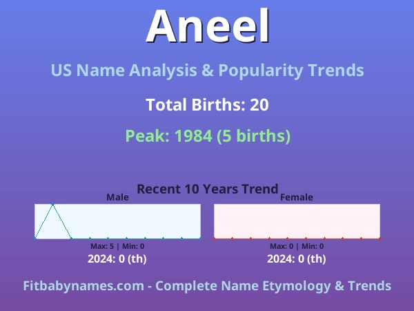 Infographic: Aneel name meaning, origin, and popularity trends in the United States (US baby name analysis chart)