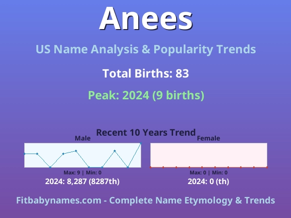 Infographic: Anees name meaning, origin, and popularity trends in the United States (US baby name analysis chart)