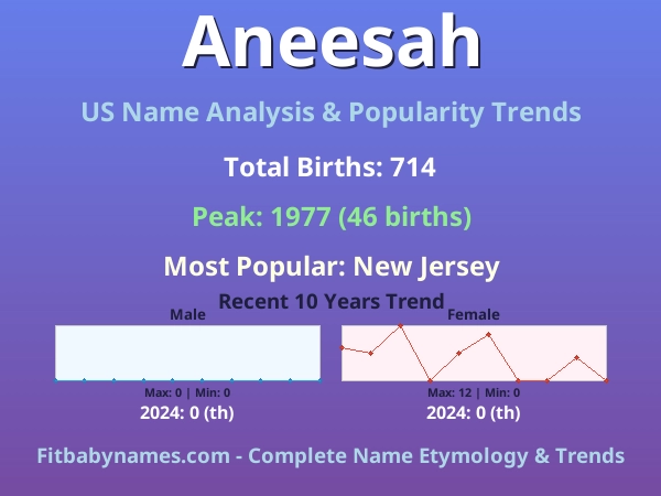 Infographic: Aneesah name meaning, origin, and popularity trends in the United States (US baby name analysis chart)