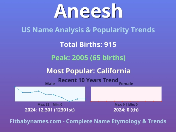 Infographic: Aneesh name meaning, origin, and popularity trends in the United States (US baby name analysis chart)
