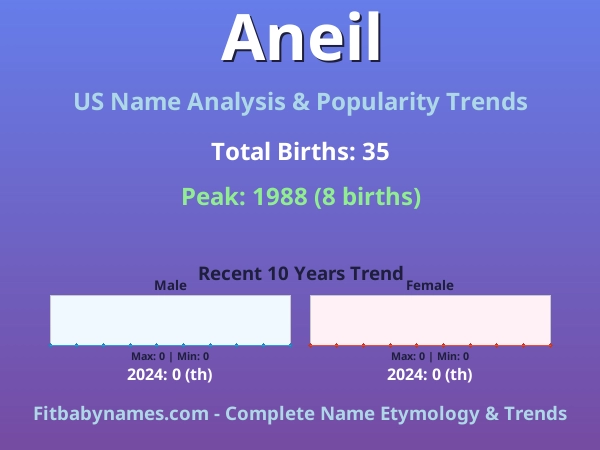 Infographic: Aneil name meaning, origin, and popularity trends in the United States (US baby name analysis chart)