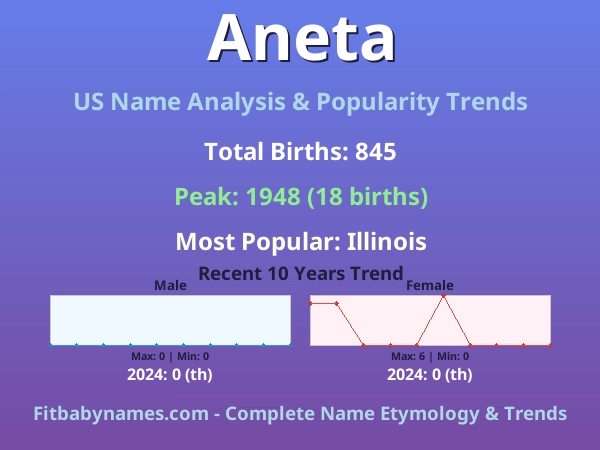 Infographic: Aneta name meaning, origin, and popularity trends in the United States (US baby name analysis chart)