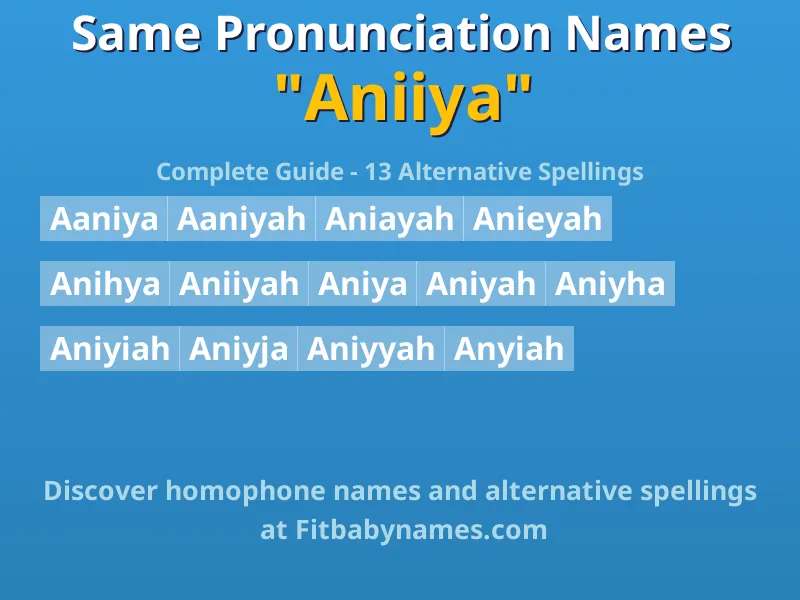 Infographic: Aniiya same pronunciation names, similar names, and homophone names