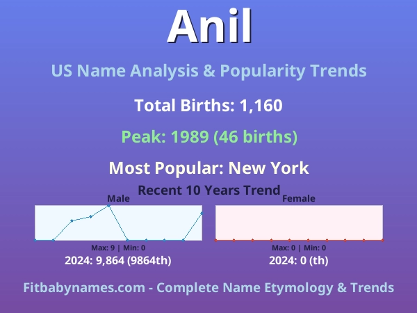 Infographic: Anil name meaning, origin, and popularity trends in the United States (US baby name analysis chart)
