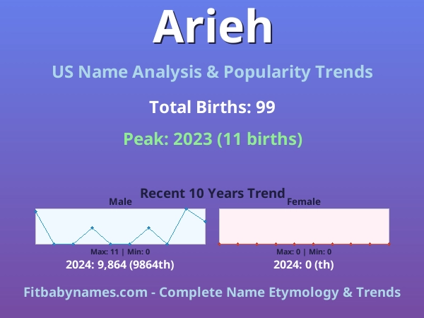 Infographic: Arieh name meaning, origin, and popularity trends in the United States (US baby name analysis chart)