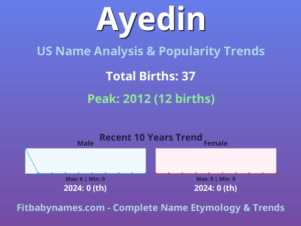 Infographic: Ayedin name meaning, origin, and popularity trends in the United States (US baby name analysis chart)
