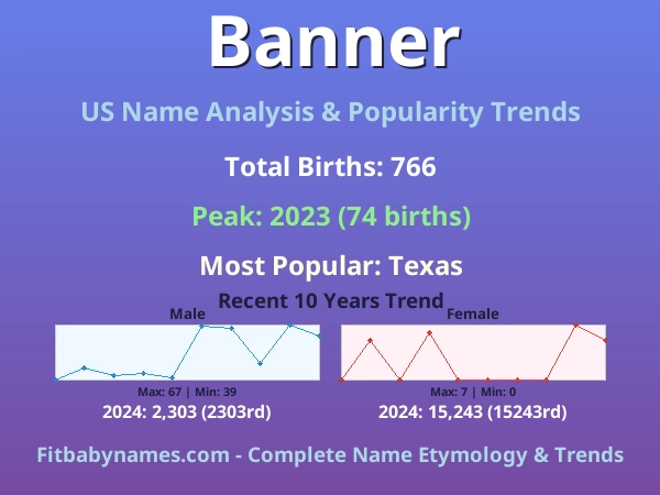 Infographic: Banner name meaning, origin, and popularity trends in the United States (US baby name analysis chart)