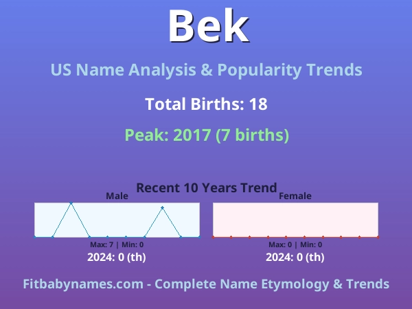 Infographic: Bek name meaning, origin, and popularity trends in the United States (US baby name analysis chart)