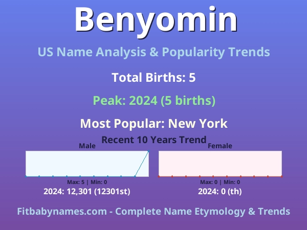 Infographic: Benyomin name meaning, origin, and popularity trends in the United States (US baby name analysis chart)