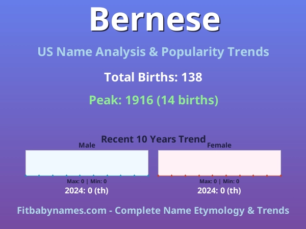 Infographic: Bernese name meaning, origin, and popularity trends in the United States (US baby name analysis chart)