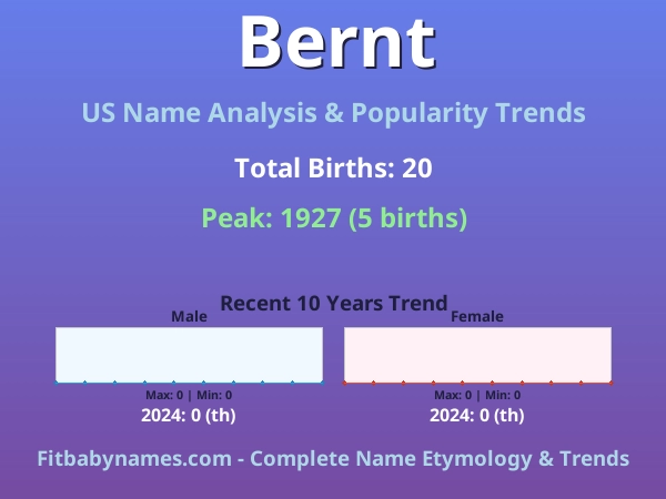 Infographic: Bernt name meaning, origin, and popularity trends in the United States (US baby name analysis chart)