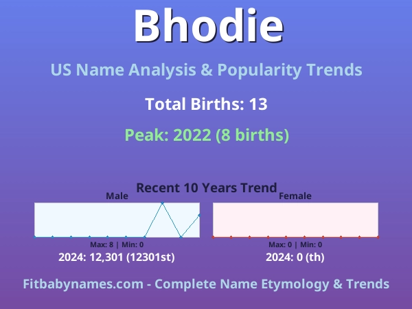 Infographic: Bhodie name meaning, origin, and popularity trends in the United States (US baby name analysis chart)