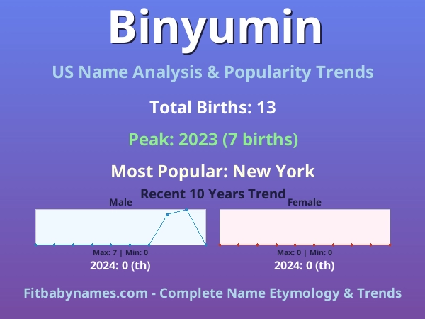 Infographic: Binyumin name meaning, origin, and popularity trends in the United States (US baby name analysis chart)