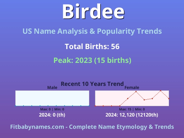 Infographic: Birdee name meaning, origin, and popularity trends in the United States (US baby name analysis chart)