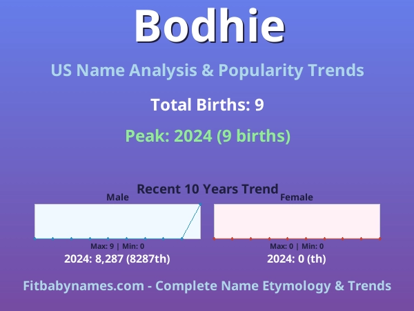 Infographic: Bodhie name meaning, origin, and popularity trends in the United States (US baby name analysis chart)