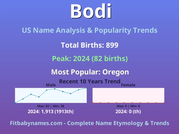Infographic: Bodi name meaning, origin, and popularity trends in the United States (US baby name analysis chart)