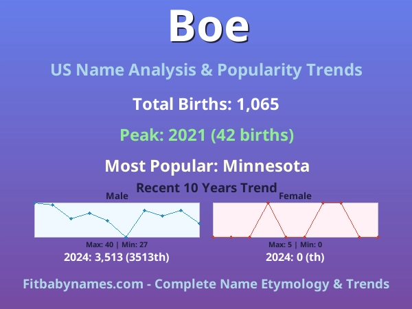Infographic: Boe name meaning, origin, and popularity trends in the United States (US baby name analysis chart)