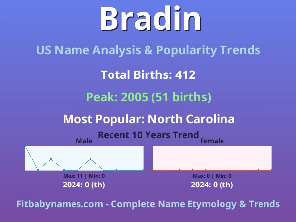 Infographic: Bradin name meaning, origin, and popularity trends in the United States (US baby name analysis chart)