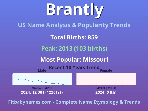 Infographic: Brantly name meaning, origin, and popularity trends in the United States (US baby name analysis chart)