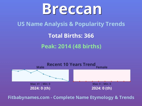 Infographic: Breccan name meaning, origin, and popularity trends in the United States (US baby name analysis chart)