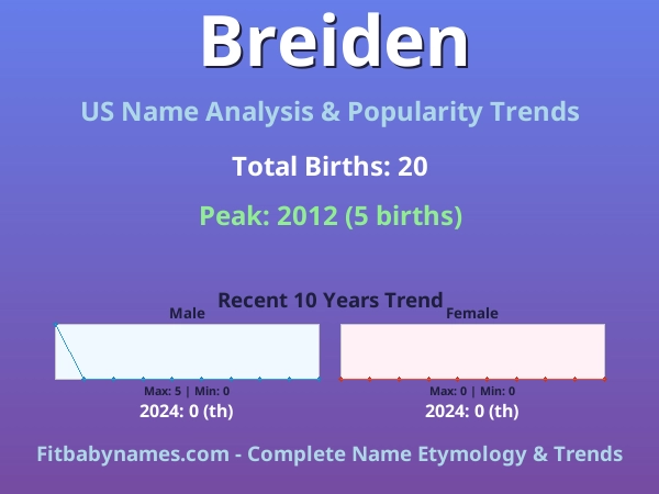Infographic: Breiden name meaning, origin, and popularity trends in the United States (US baby name analysis chart)