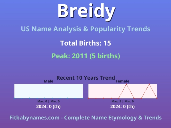 Infographic: Breidy name meaning, origin, and popularity trends in the United States (US baby name analysis chart)