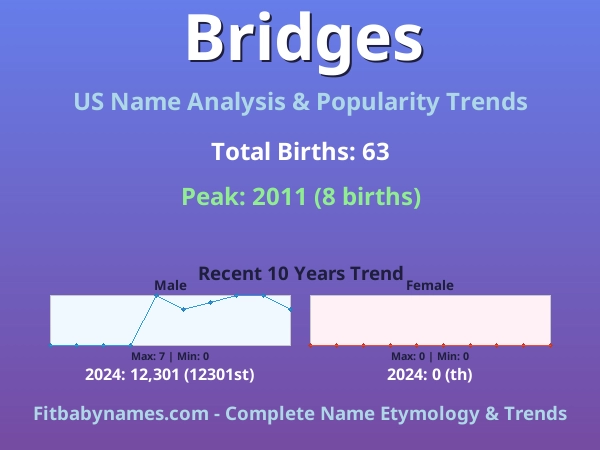 Infographic: Bridges name meaning, origin, and popularity trends in the United States (US baby name analysis chart)