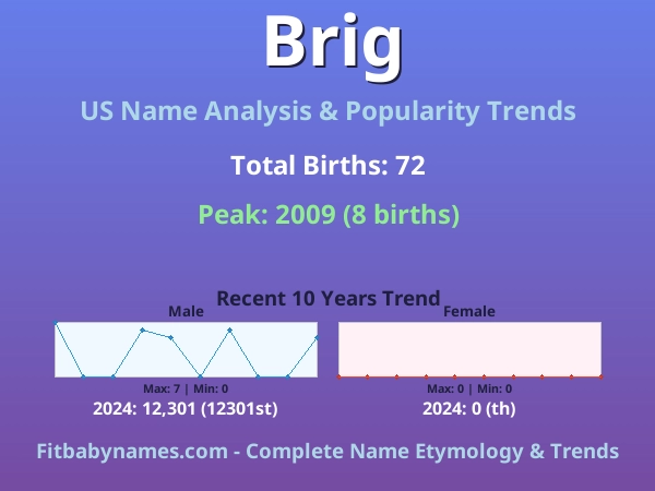 Infographic: Brig name meaning, origin, and popularity trends in the United States (US baby name analysis chart)