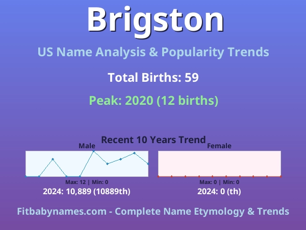 Infographic: Brigston name meaning, origin, and popularity trends in the United States (US baby name analysis chart)