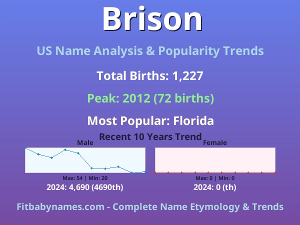 Infographic: Brison name meaning, origin, and popularity trends in the United States (US baby name analysis chart)