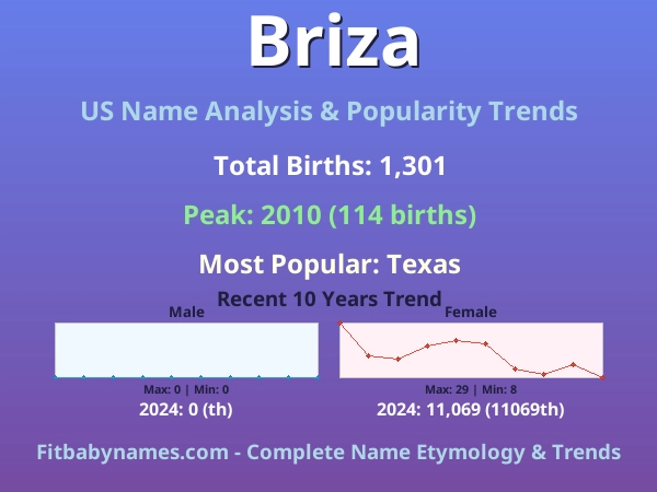 Infographic: Briza name meaning, origin, and popularity trends in the United States (US baby name analysis chart)