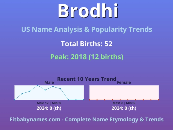 Infographic: Brodhi name meaning, origin, and popularity trends in the United States (US baby name analysis chart)