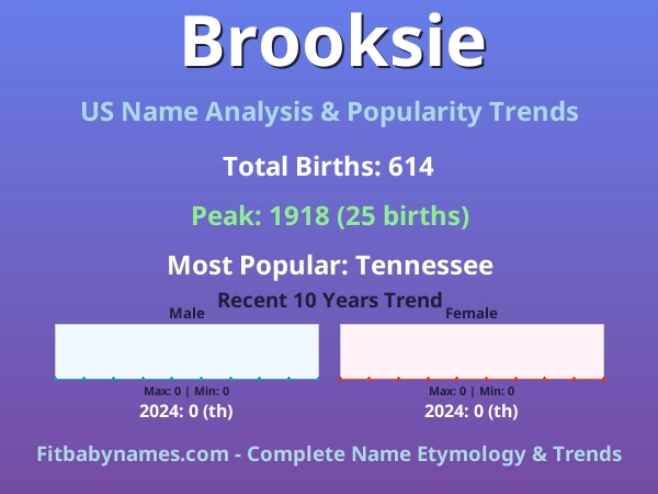Infographic: Brooksie name meaning, origin, and popularity trends in the United States (US baby name analysis chart)