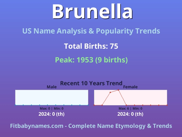 Infographic: Brunella name meaning, origin, and popularity trends in the United States (US baby name analysis chart)