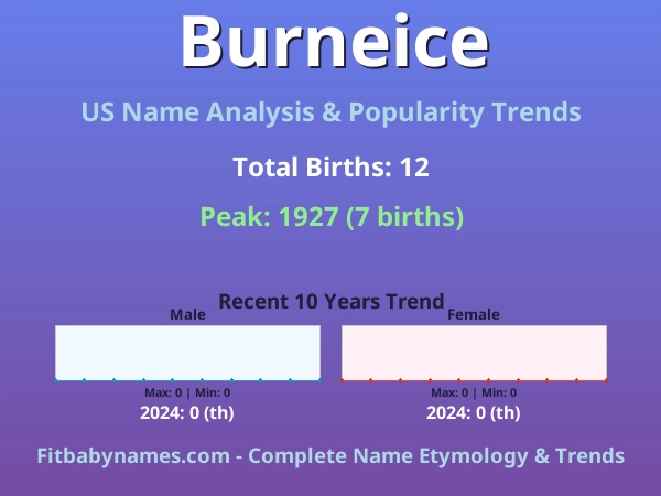 Infographic: Burneice name meaning, origin, and popularity trends in the United States (US baby name analysis chart)