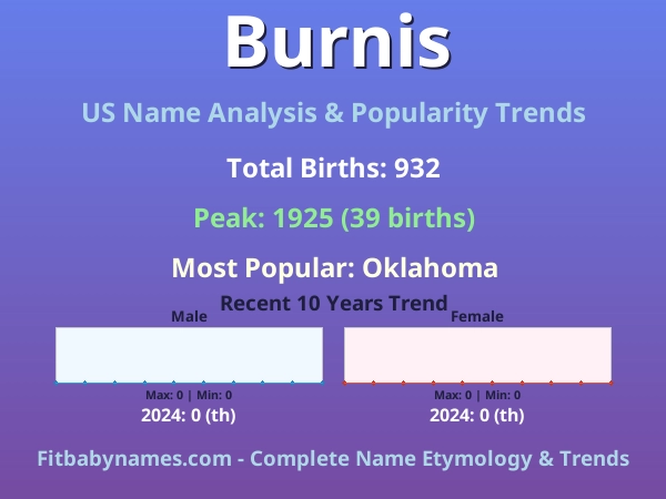 Infographic: Burnis name meaning, origin, and popularity trends in the United States (US baby name analysis chart)