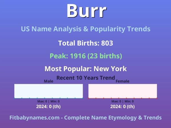 Infographic: Burr name meaning, origin, and popularity trends in the United States (US baby name analysis chart)
