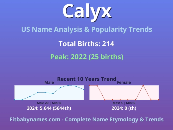 Infographic: Calyx name meaning, origin, and popularity trends in the United States (US baby name analysis chart)