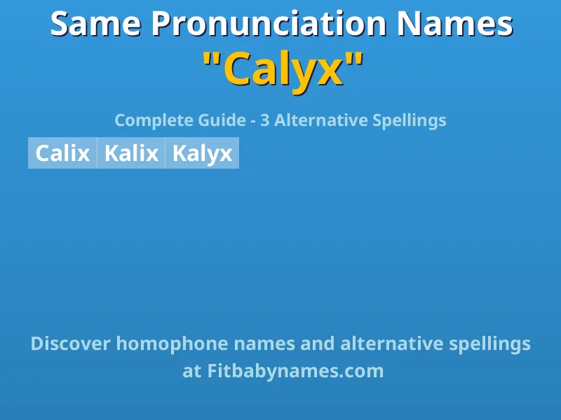 Infographic: Calyx same pronunciation names, similar names, and homophone names