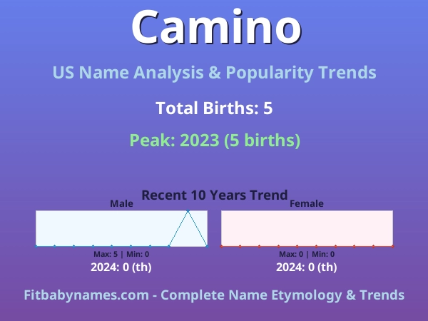 Infographic: Camino name meaning, origin, and popularity trends in the United States (US baby name analysis chart)