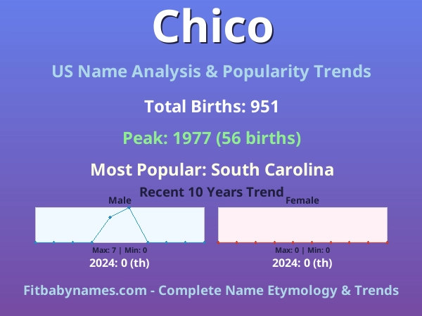 Infographic: Chico name meaning, origin, and popularity trends in the United States (US baby name analysis chart)
